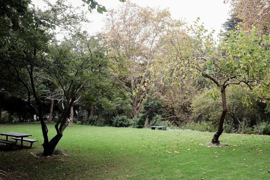 Witteboomen Forest Holiday home Cape Town